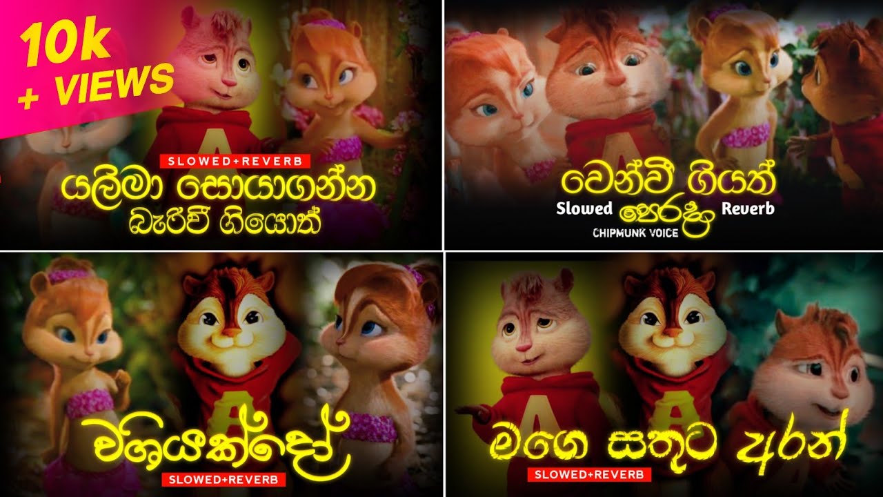 Sinhala Song Collection | Chipmunk version | Slowed and Reverb | Visha Recodz
