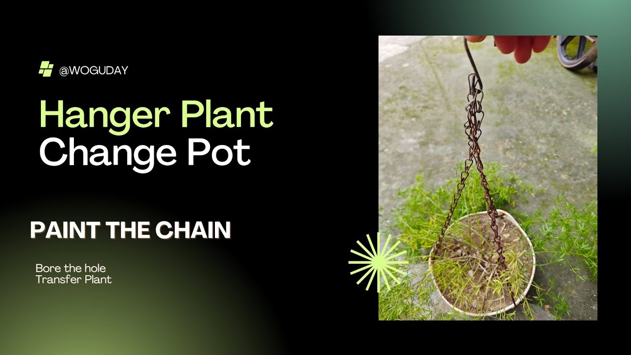 Replacing the hanger plant pots
