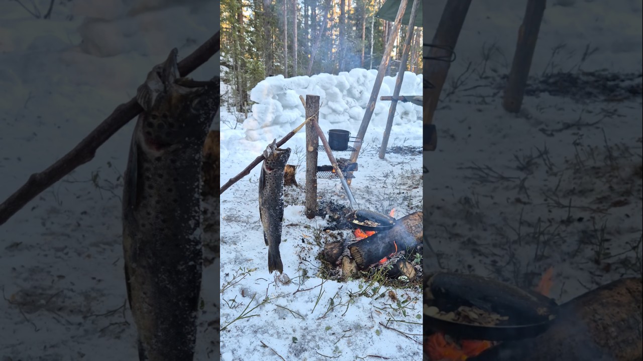 Making a bushcraft multi cooking system #bushcraft #survival