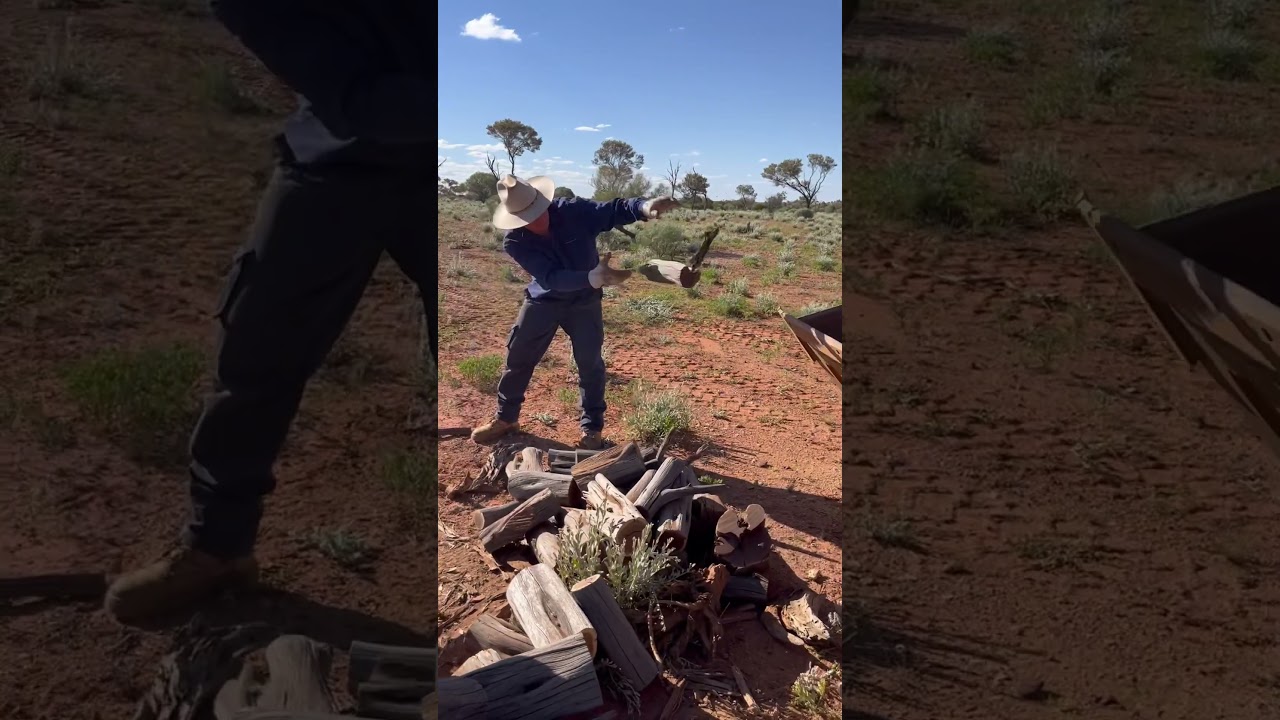 Collecting #firewood at #PrentiDowns #outbackaustralia