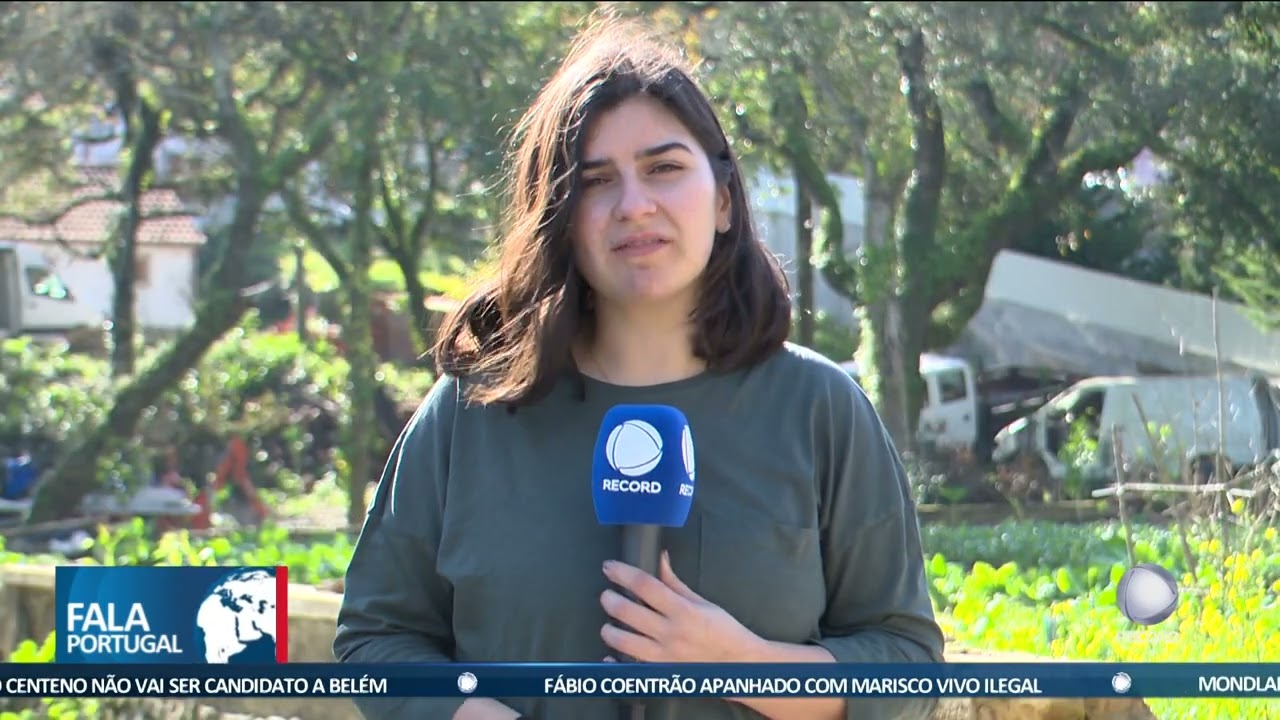 Assalto milionário em Sintra