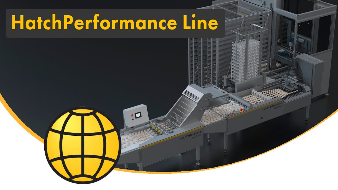 Egg handling solution for breeder farms – The HatchPerformance Line – Get higher hatchability rates!