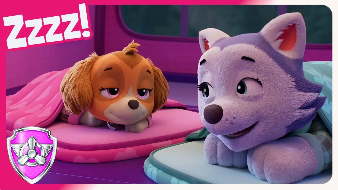 Girls Sleep Over CLub | Skye PAW Patrol | Spin Kids Playground | Cartoons for Kids