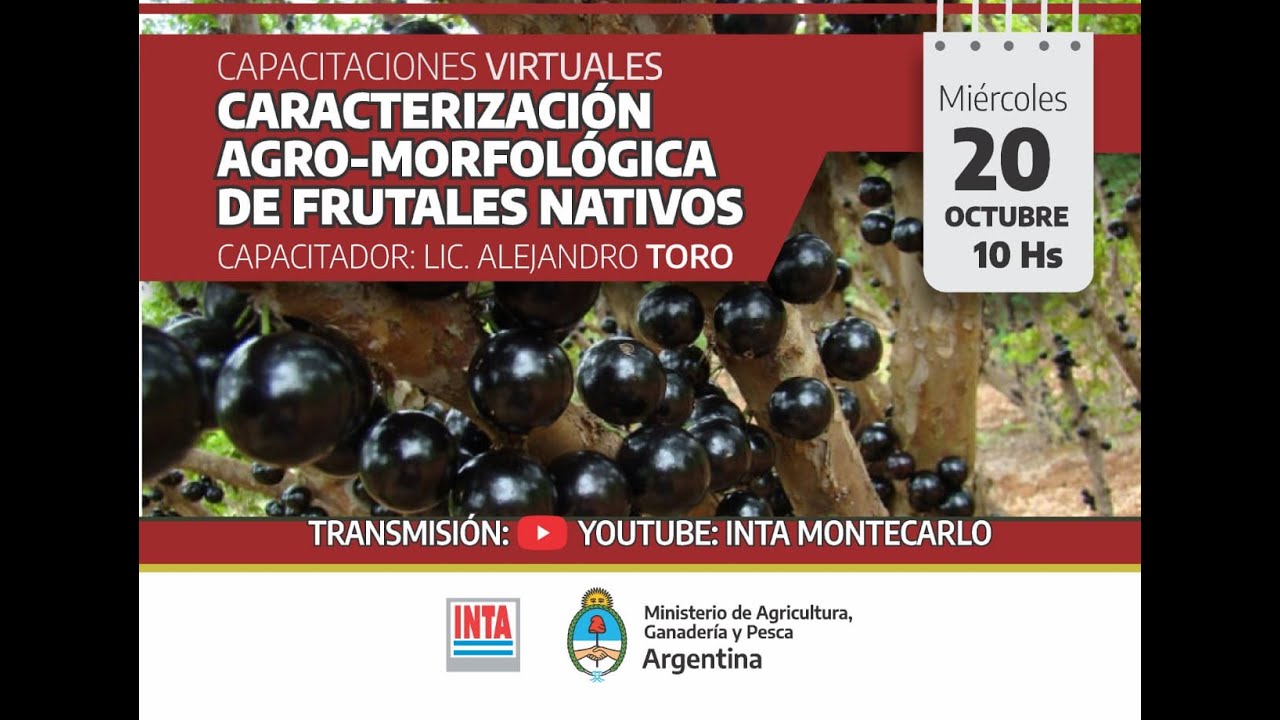 CARACTERIZACIÓN AGROMORFOLÓGICA DE FRUTALES NATIVOS
