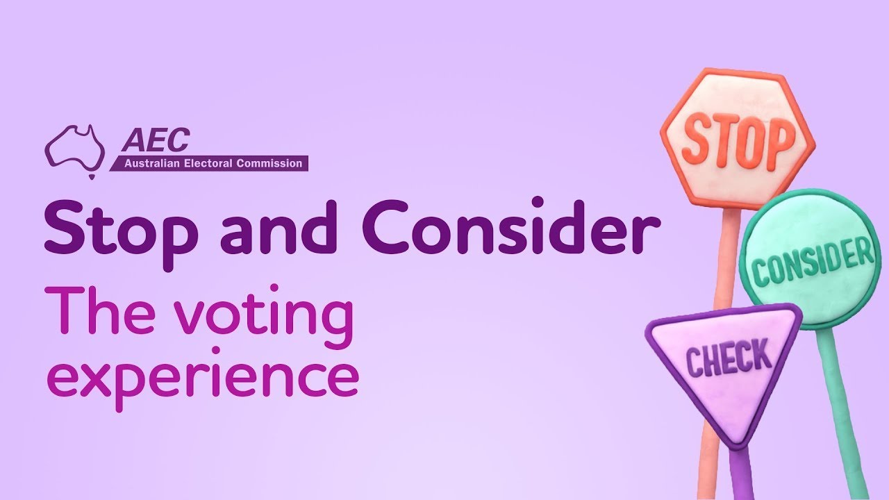 Digital Literacy: The voting experience