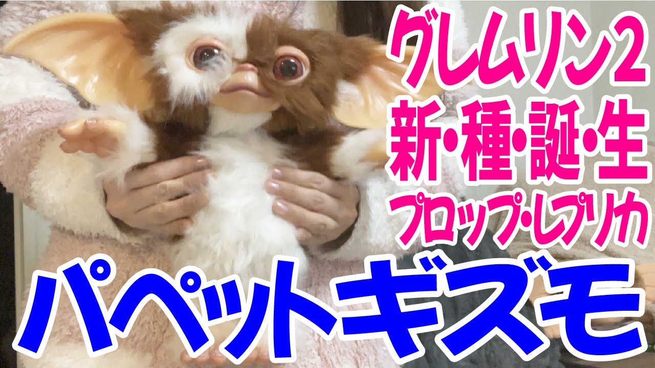 『グレムリン２ 新・種・誕・生』 プロップ・レプリカ パペットギズモ 届いた！開封&レビュー！！【購入品紹介】【グレムリン】【Gremlins】