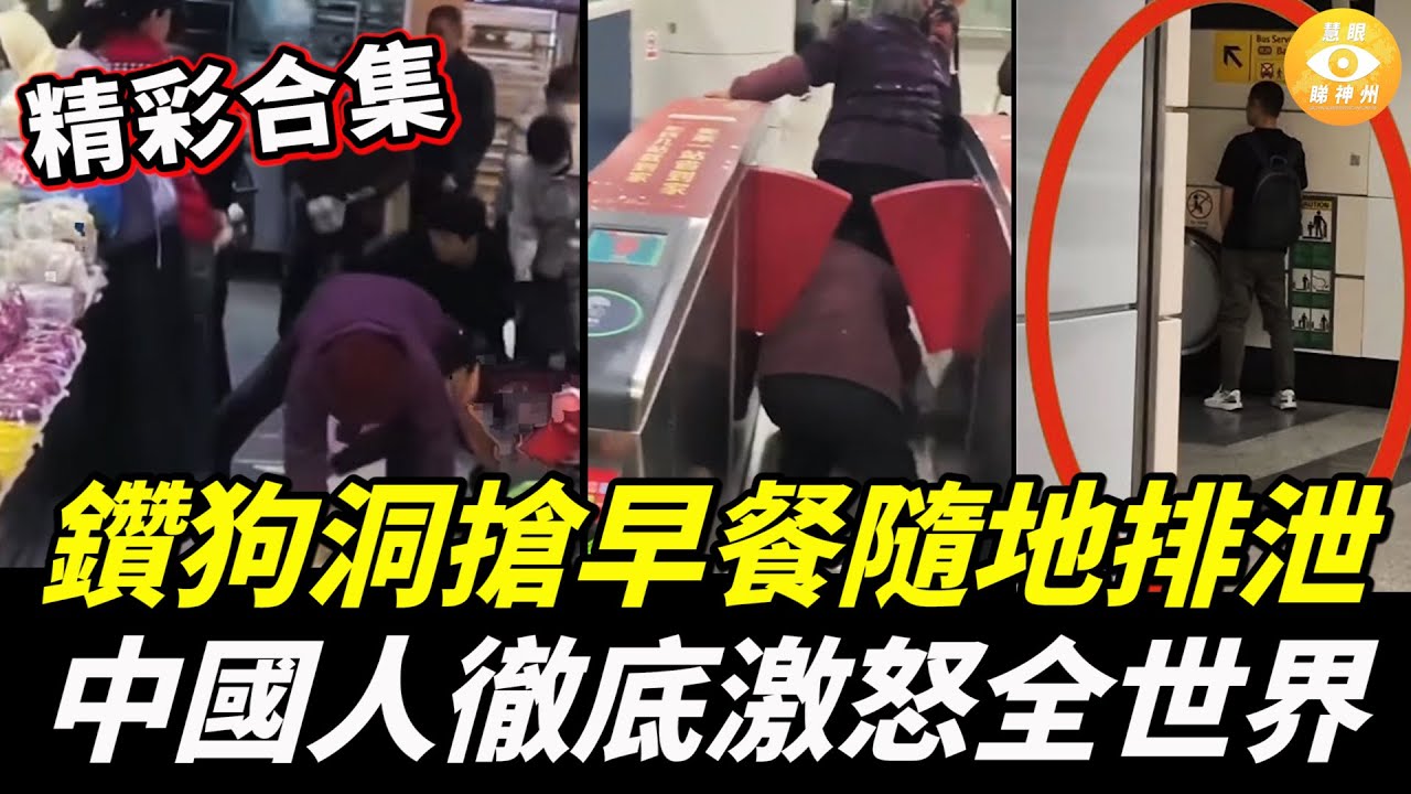 【精彩合集】馬爾代夫搶早餐，隨時隨地大小便，為逃票「鑽狗洞」……中國人徹底激怒全世界！