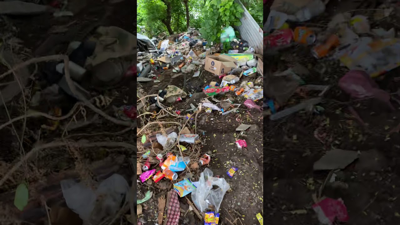 Sauver des chiens devient de plus en plus compliqu&eacute;