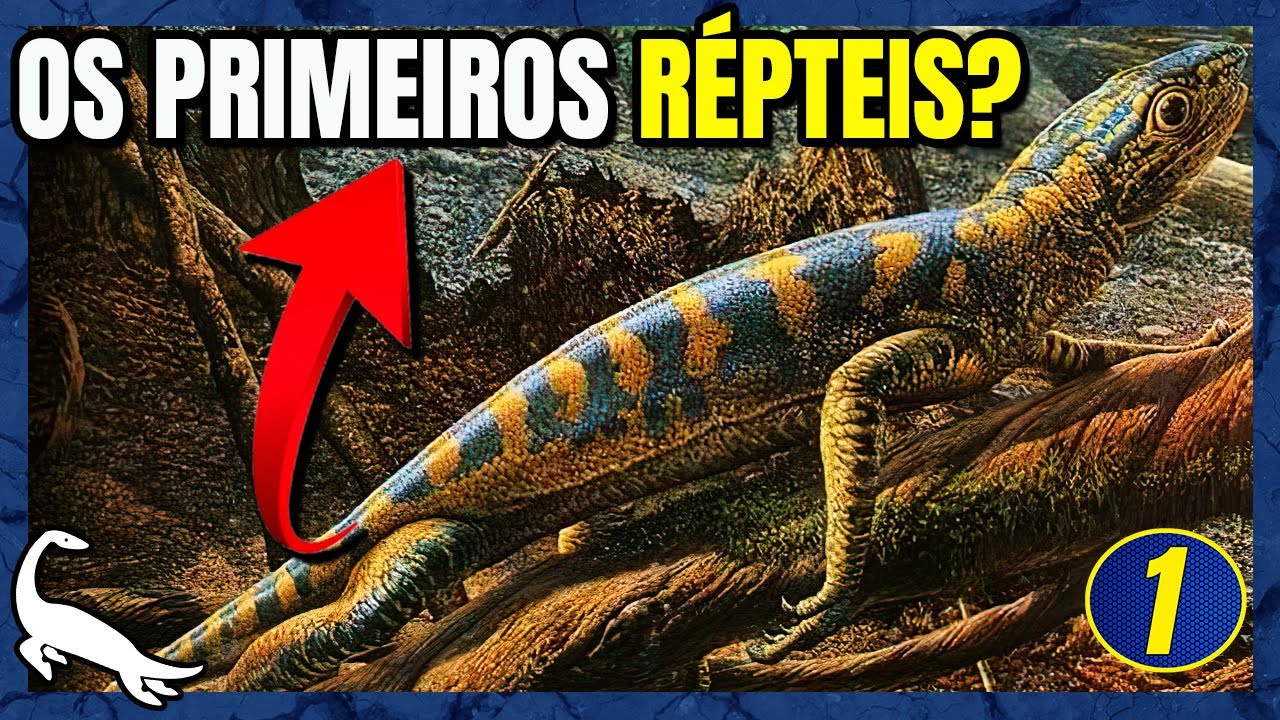 ORIGEM e EVOLU&Ccedil;&Atilde;O dos R&Eacute;PTEIS!