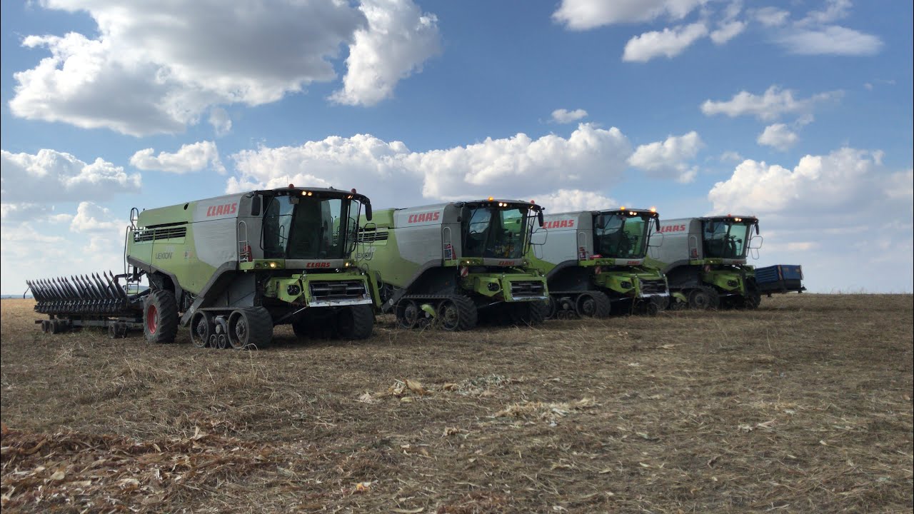 Mais dreschen in Bulgarien 2018 mit Claas Lexion 770 Mähdrescher / Gute-Ernte Förg