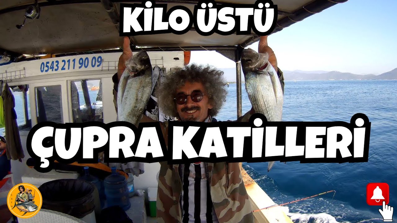 Çipura katilleri  Kiloluk çupralar yakaladık