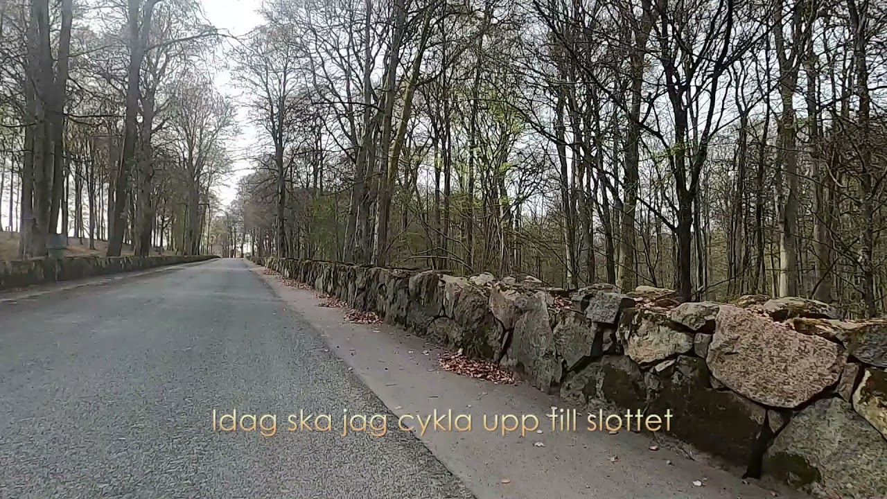 Skånska slott.