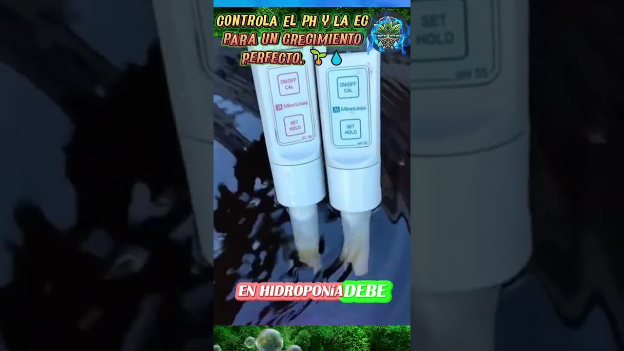 🌱💧 Descubre cómo el pH y la EC afectan tus plantas. 