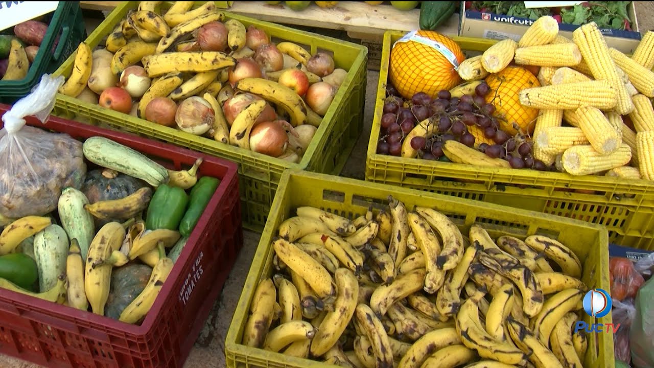 Consumo consciente dos alimentos