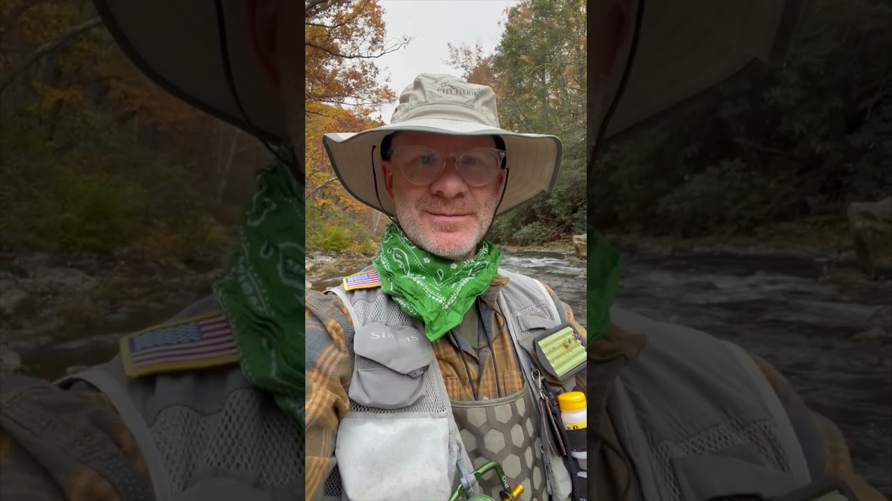 A NEW Griffith's Gnat variation on the Savage River #dryflyfishing