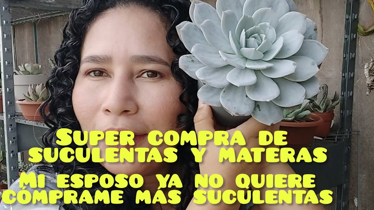 Super compra de suculentas y materas / Mi esposo ya no me quiere comprar suculentas