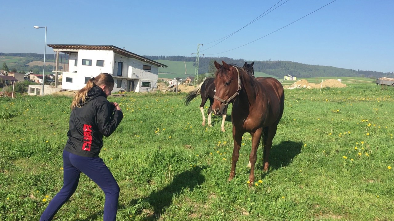 Jessica Triebeľová - tieňový box