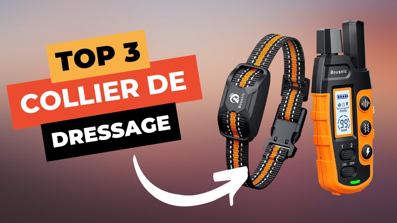 🔥 TOP 3 : Meilleur Collier de Dressage 2024