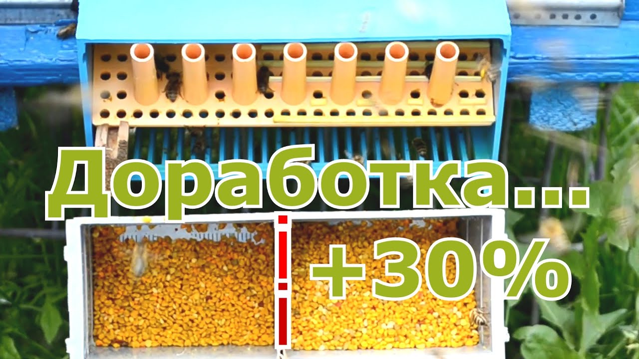 ДОРАБОТКА пыльцесборника. 30%+