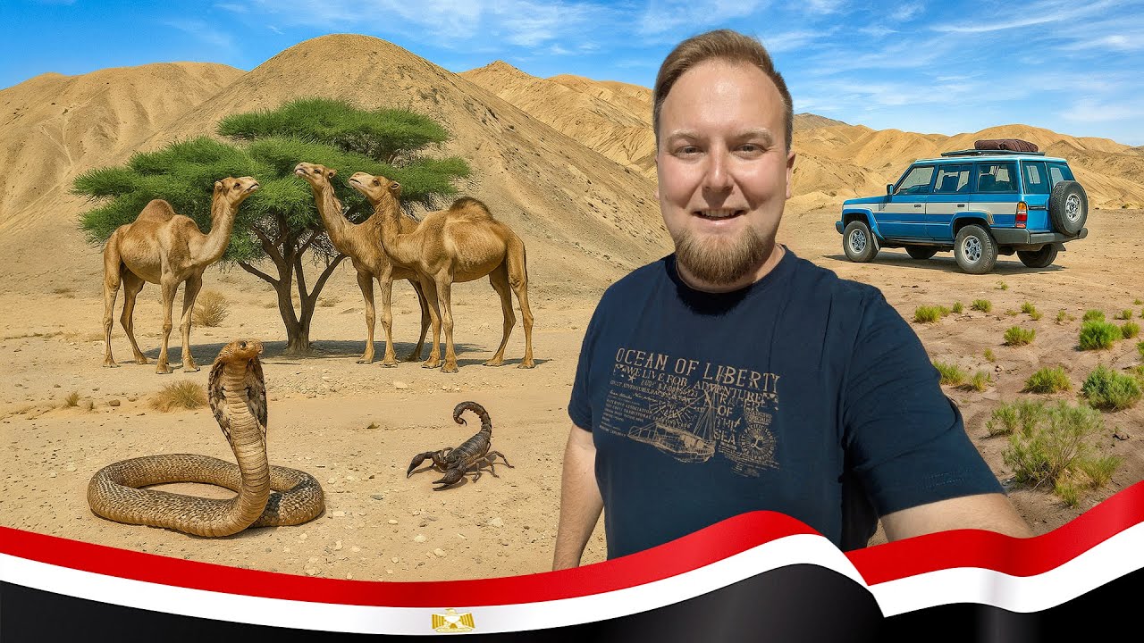 🇪🇬 Єгипет. Прихований скарб пустелі! Дикий оазис El Malacha. Елітний курорт Ель-Гуна