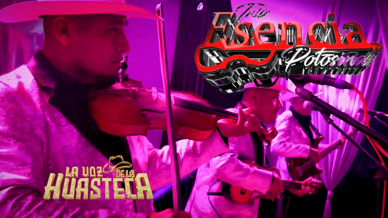 Popurrí romántico - Trio Esencia Potosina en vivo ( Quien entiende este amor, no te cambiaría)