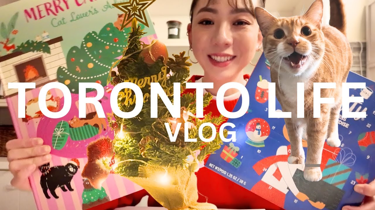 Toronto life ｜all cat lovers, gather around! what's inside Cat advent calendar? christmas surprise!