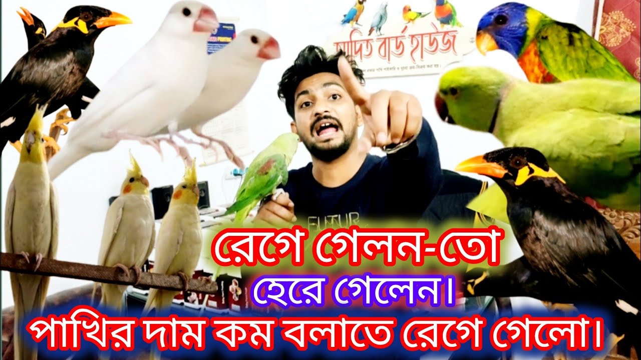 রেগে গেলন-তো হেরে গেলেন। পাখির দা-ম কমশুনে রেগে গেলেন আদিত্য। চন্দনার বাচ্চা। টিয়ার বাচ্চা। মিরপুর। 