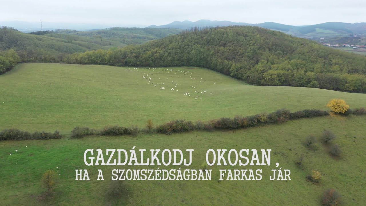 Gazdálkodj okosan, ha a szomszédságban farkas jár