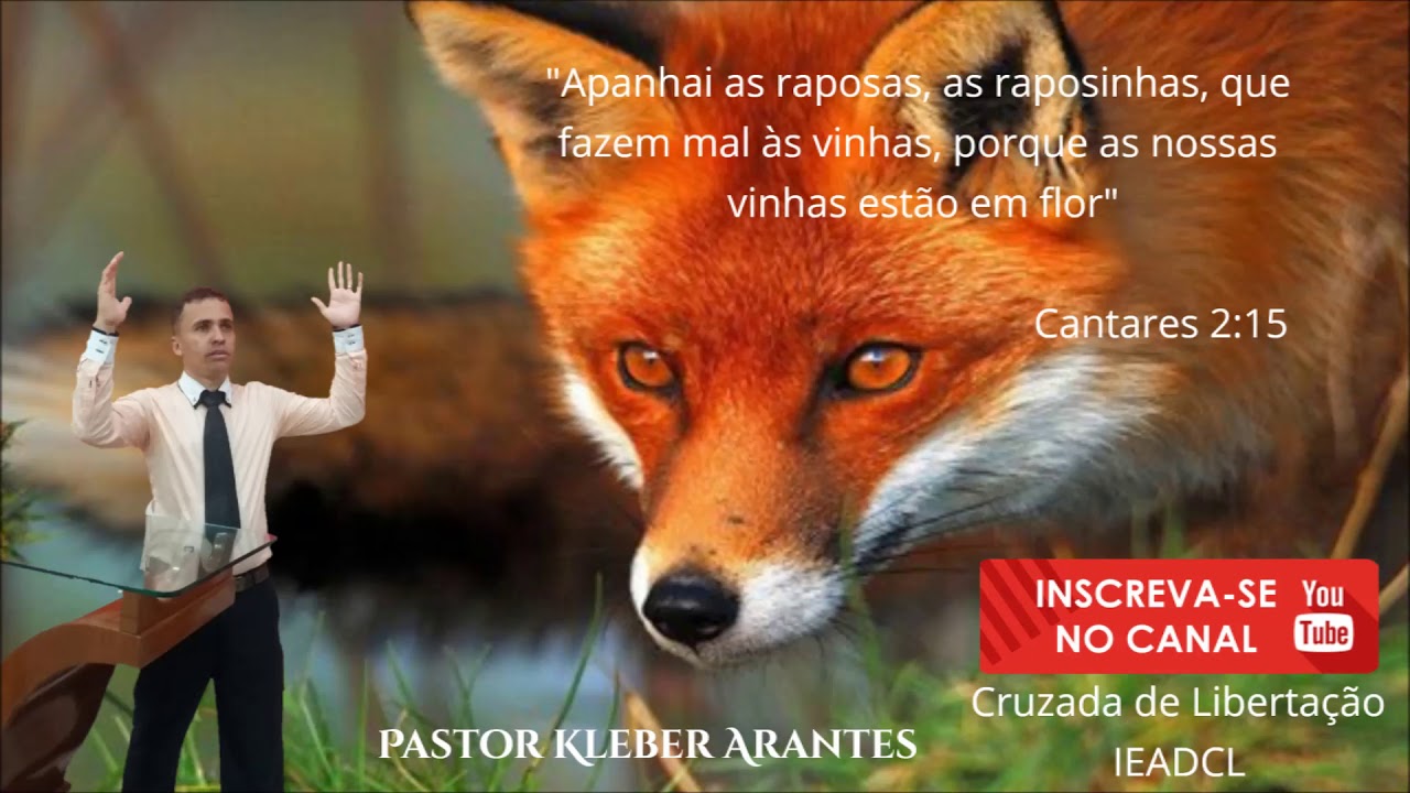 Cantares 2:15 - Pastor Kleber Arantes