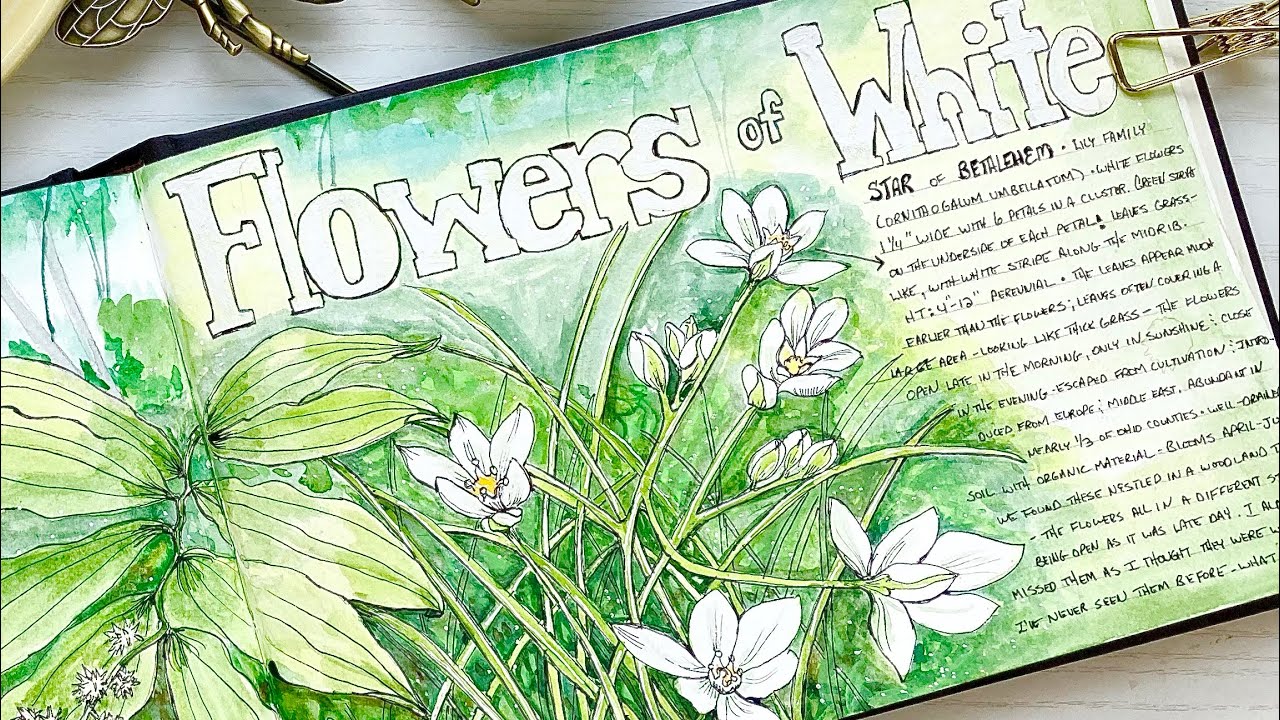 3 Tips for Watercolor/White Flowers