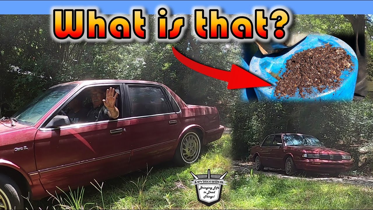 WHAT IS THAT? 1996 Oldsmobile Cutlass Ciera SL - WILL IT START & DRIVE? ROADWORTHY? / REVIVAL REVIEW