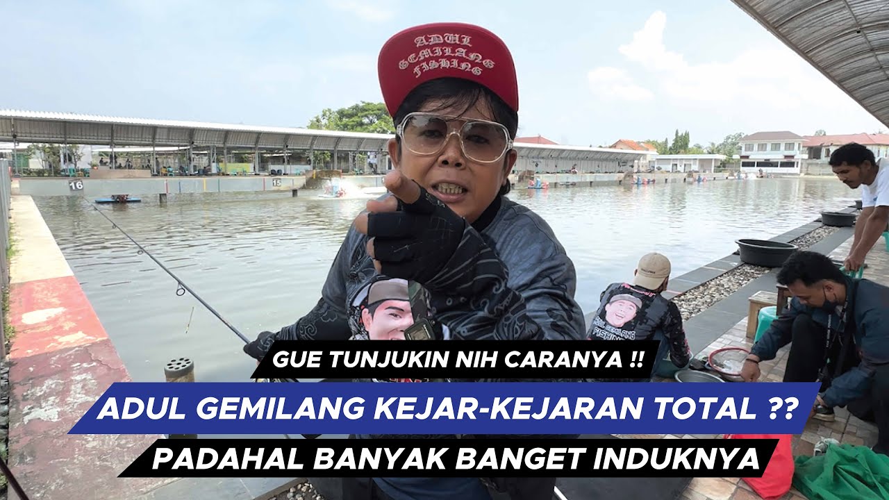 UMPAN PUTIH AGF AMIS WANGI BIKIN ADUL GEMILANG KEJAR-KEJARAN TOTAL TERBANYAK !! || AGF48