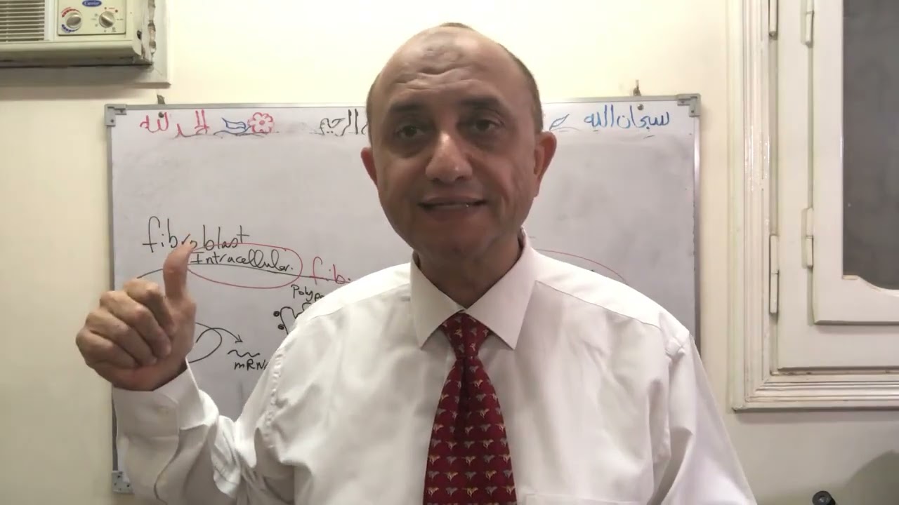 Connective tissue fibers 1st y