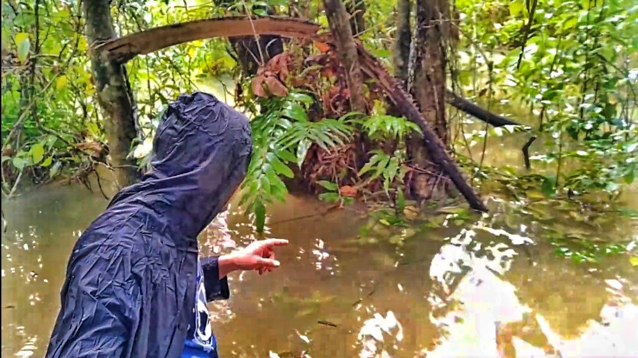 Lamalif - Taut Belut Tajur Keli | Banyak Belut Dengan Keli Lembut | Traditional Fishing