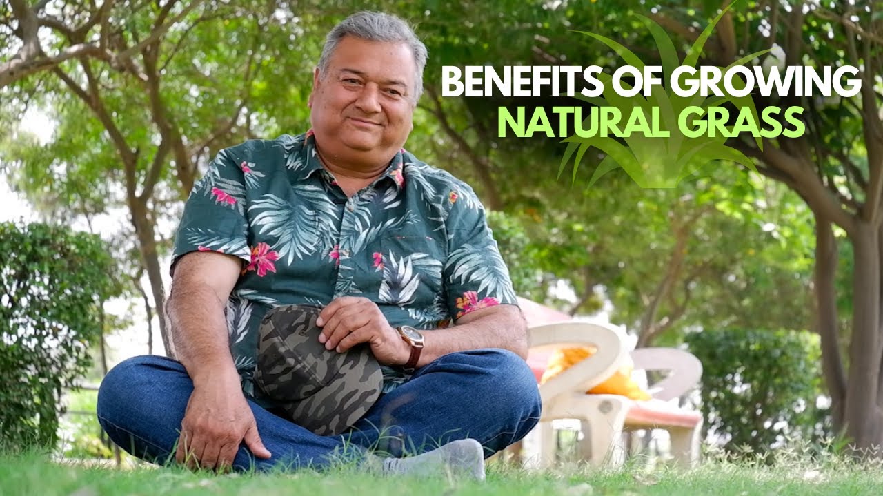 Benefits of Growing Natural Grass