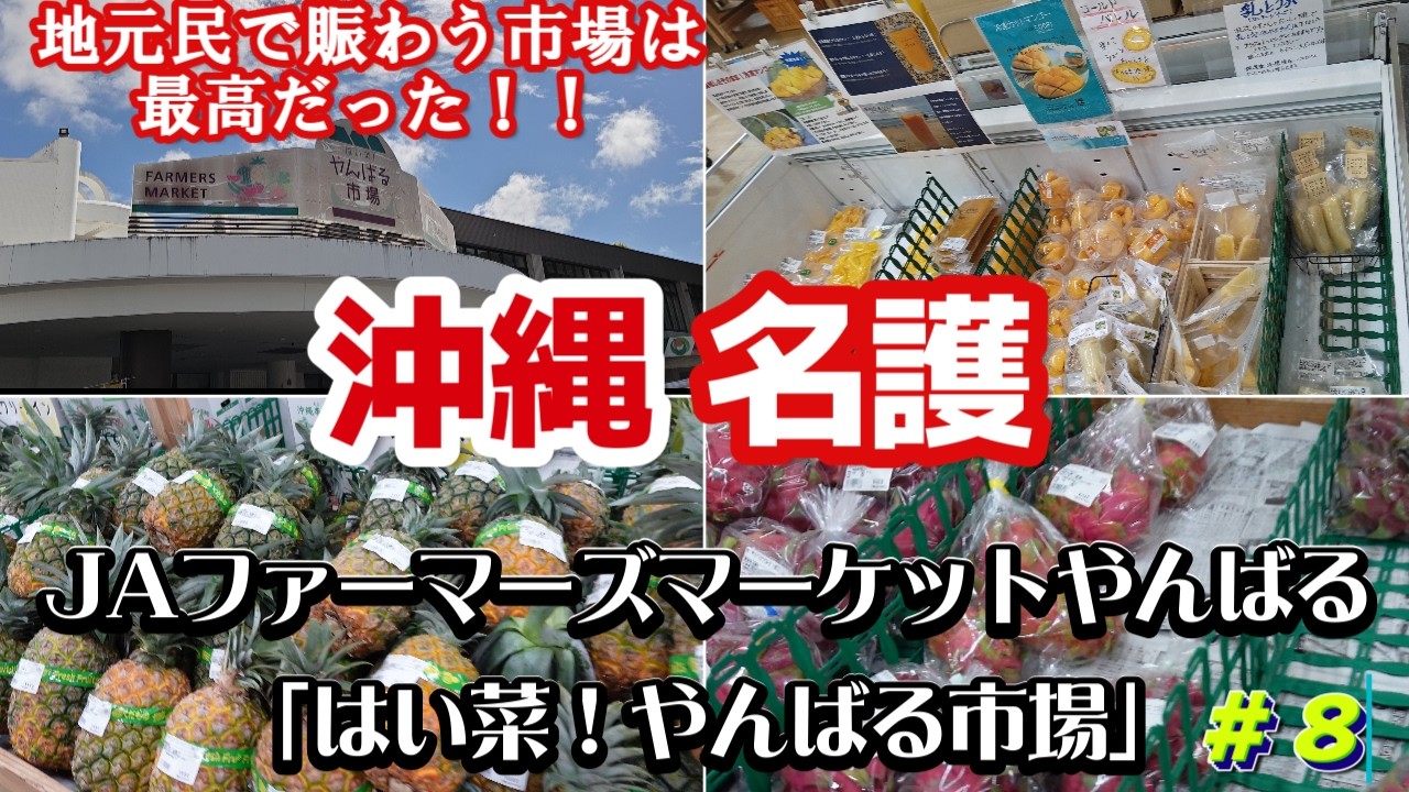 沖縄名護の市場「JAファーマーズマーケットやんばる はい菜！やんばる市場」激安新鮮で最高！🥩沖縄県産お肉やお魚🍍果物野菜お惣菜お土産何でも揃う地元人気の直売所沖縄観光におすすめ沖縄旅行vlog
