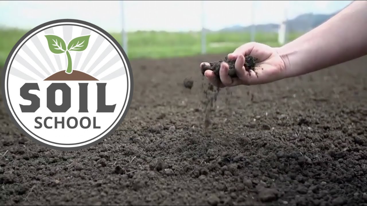 Soil School: Using predictive soil mapping to inform better soil management