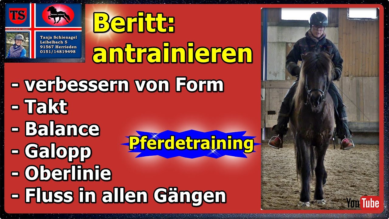 Beritt, Form, Takt, Balance, Oberlinie, Fluss, Isländer, Pferdetraining, Tipps, Tanja Schienagel