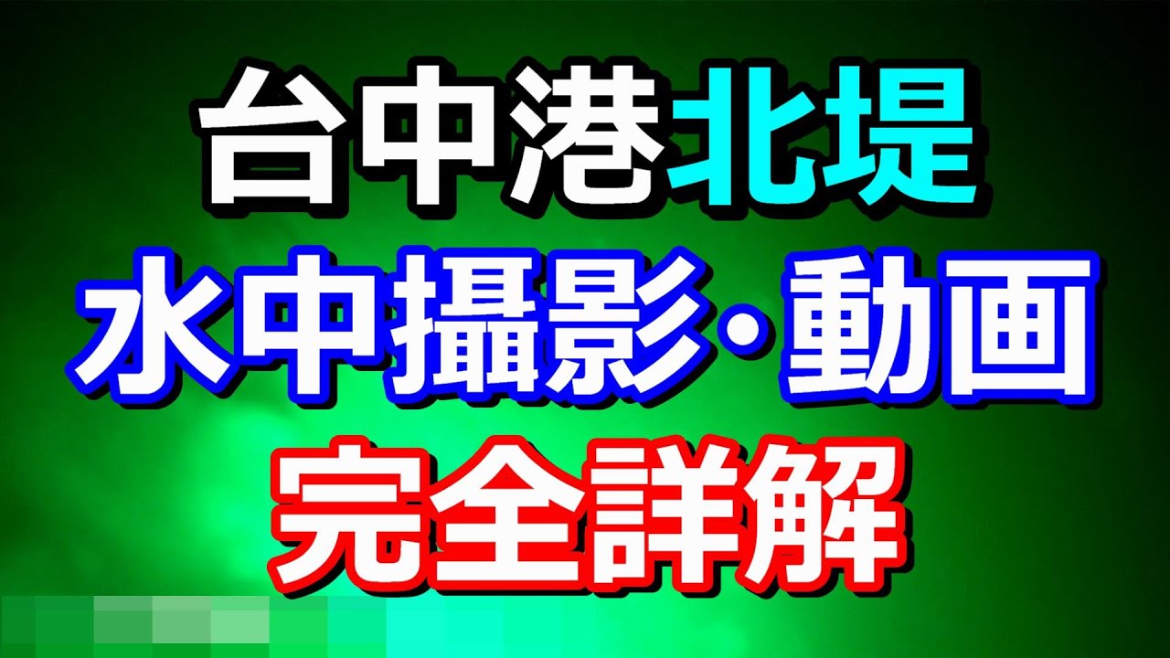 【台湾釣り魅力 台中港北堤】新事実！水中攝影・動画完全詳解！台湾釣りlog