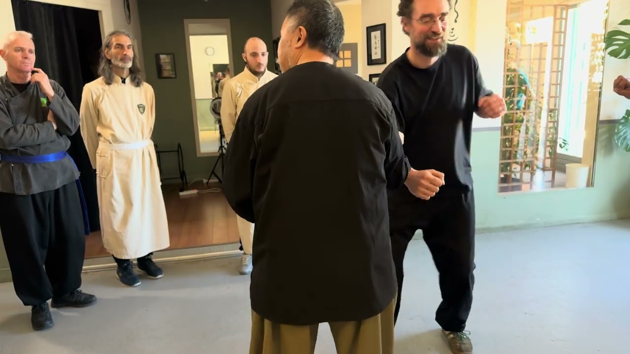 Arts martiaux internes - Extrait du Stage de Xingyi Quan mars 2025 - Centre fonctionnel