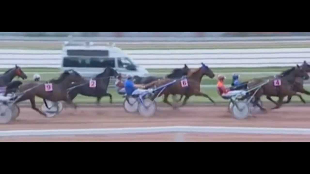 Timoko_J. Verbeeck_Grand Prix De Wallonie Belgique 2013