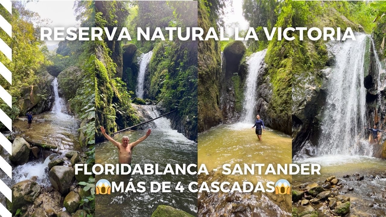 Reserva Natural La Victoria, Hacienda La Judia - Floridablanca, Santander🤩
