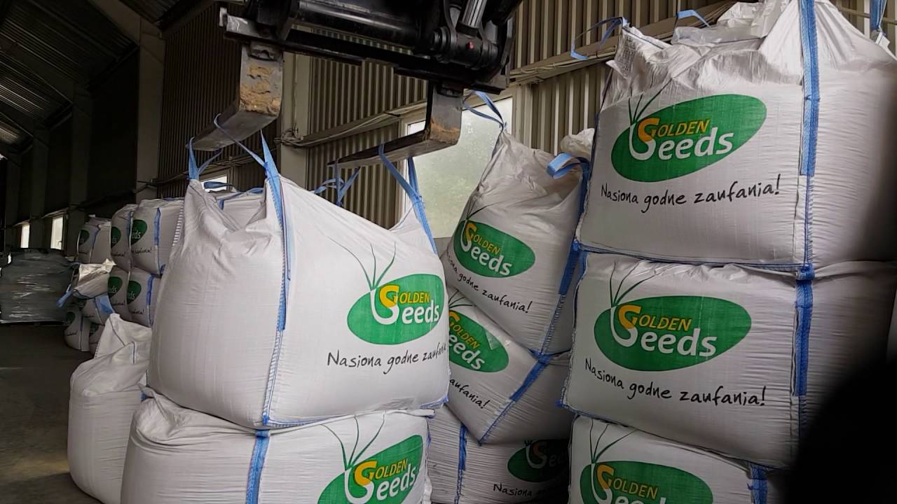 Golden Seeds - Zaprawianie i pakowanie nasion