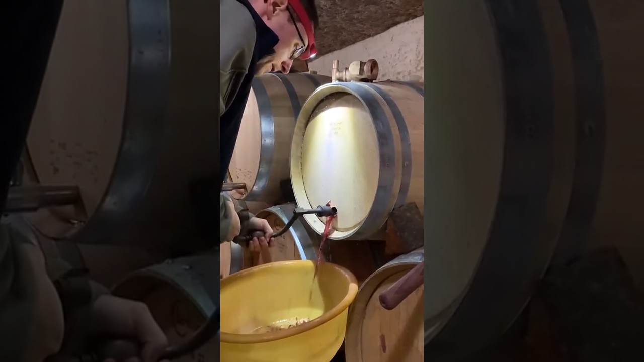 How Wine Barrels Made 🥂 