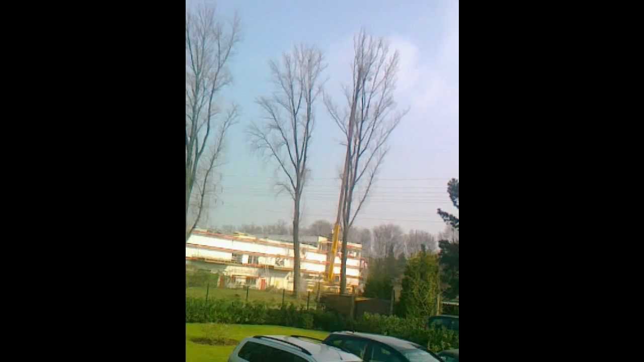 Kranunfall
