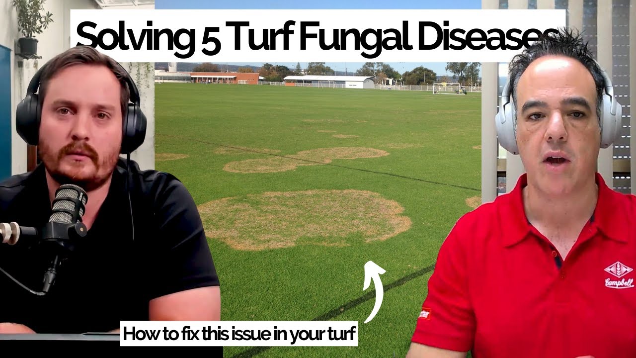 How to Identify & Control Brown Patch, Dollar Spot, Spring Dead Spot & Fairy Ring - Warm Season Turf