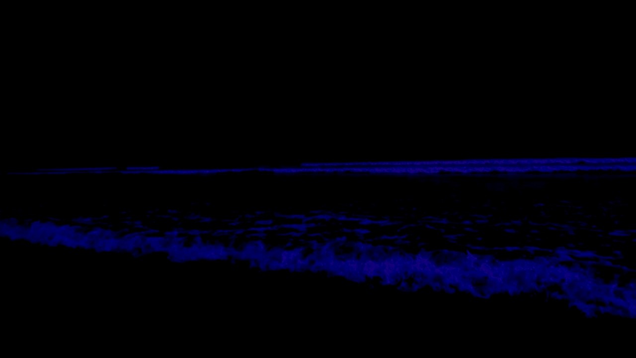 No Ads Insomnia Therapy • Gentle Ocean Sounds For Rolling Waves In Quiet Night To Beat Stress Relief