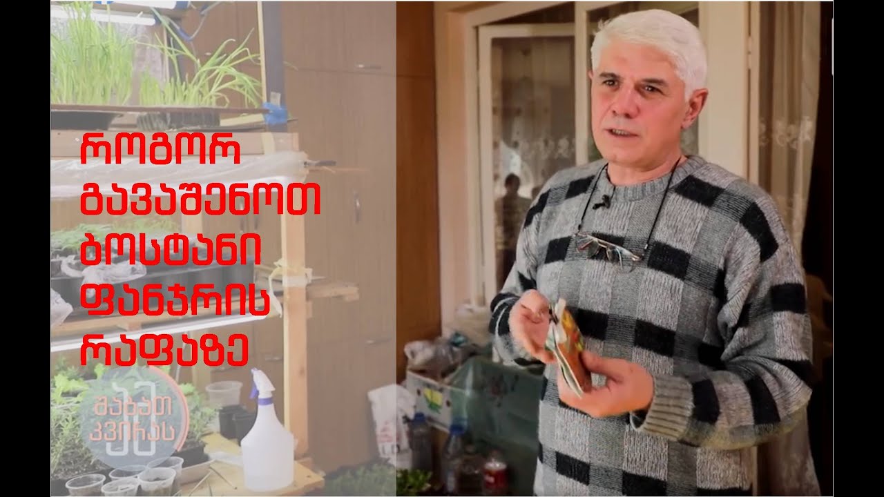 როგორ გავაშენოთ ბოსტანი სახლის პირობებში