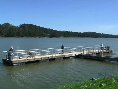 Rain Brings Hope After Years of Calif. Drought