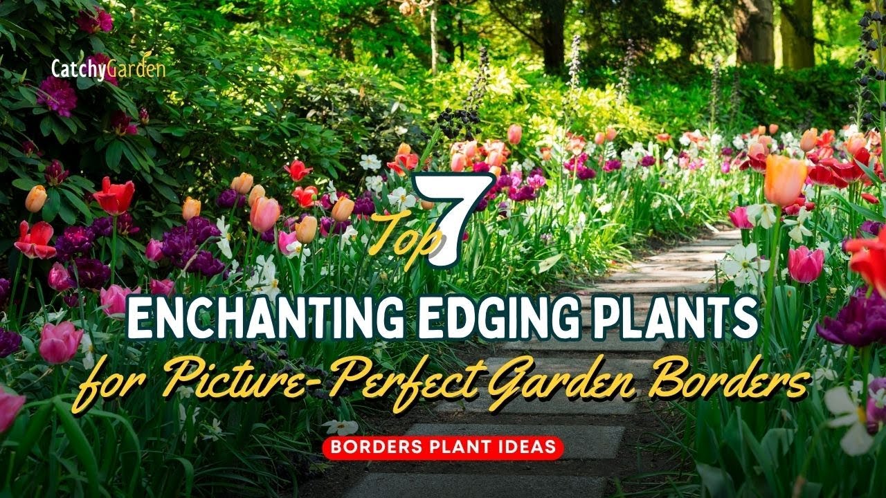 Border Beauties: 7 Enchanting Edging Plants for Picture Perfect Garden Borders 🌷🌱👍